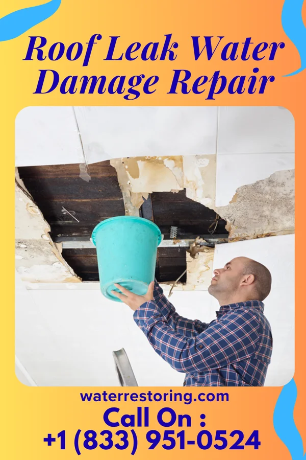 Roof Leak Water Damage Repair in Sharon Springs, KS
